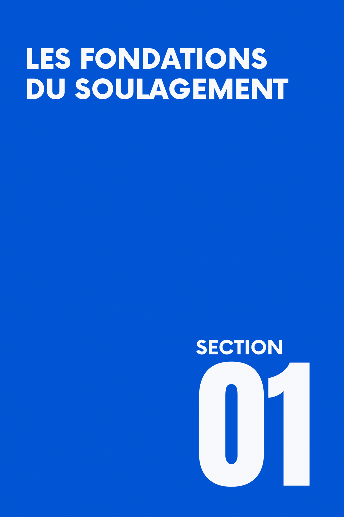 SpineRelief™ - Sauver votre sciatique en 30 jours